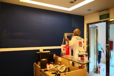 House/Office Painting Services